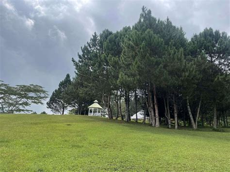 dahilayan gardens and resort|dahilayan gardens and resort wedding.